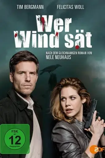 wer-wind-sat-2015