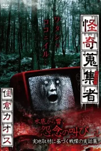 mysterious-collector-kaosu-sumikura-2018