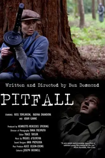pitfall-2017