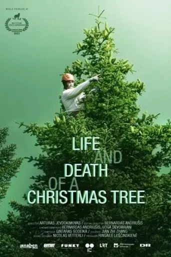 life-and-death-of-a-christmas-tree-2024