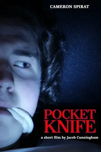 pocket-knife-2020