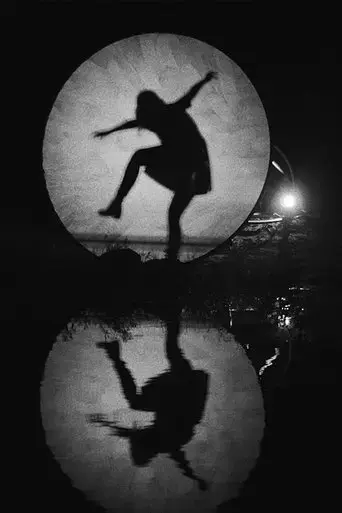 shadow-nettes-2017