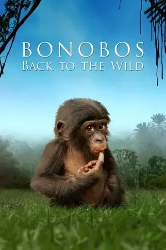 bonobos-back-to-the-wild-2011