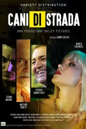 cani-di-strada-2020