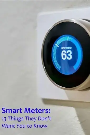 smart-meters-13-things-they-don-t-want-you-to-know-2024