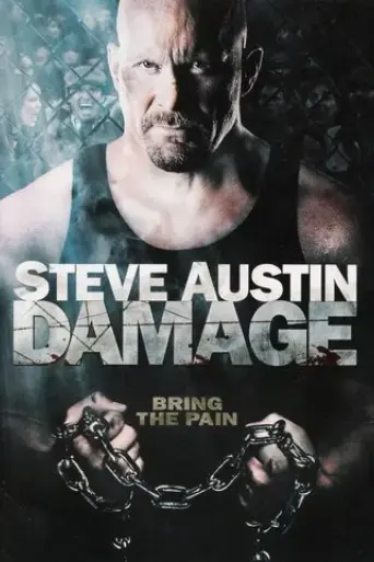damage-2009