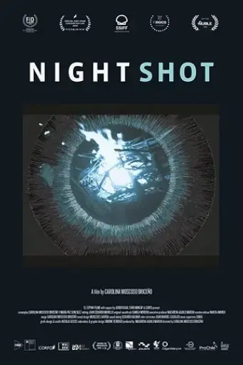 night-shot-2019