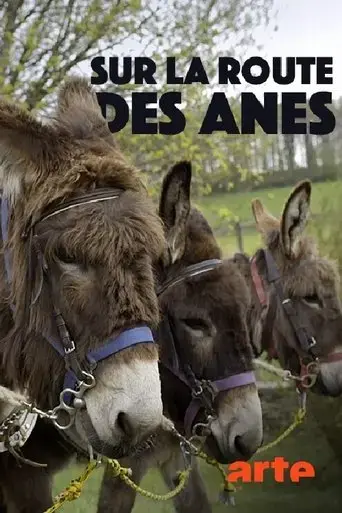 sur-la-route-des-anes-2018