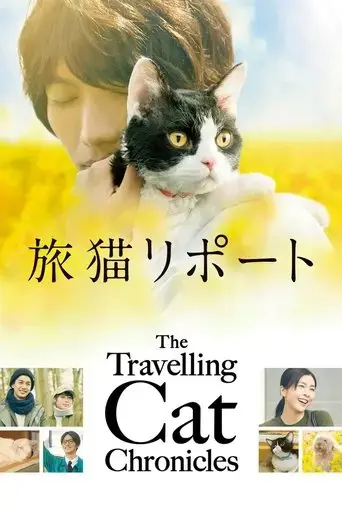 the-travelling-cat-chronicles-2018