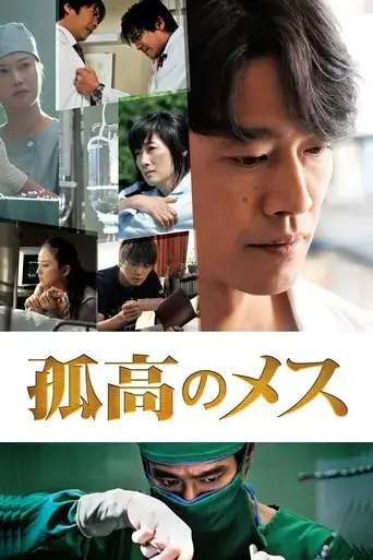 koko-no-mesu-2010