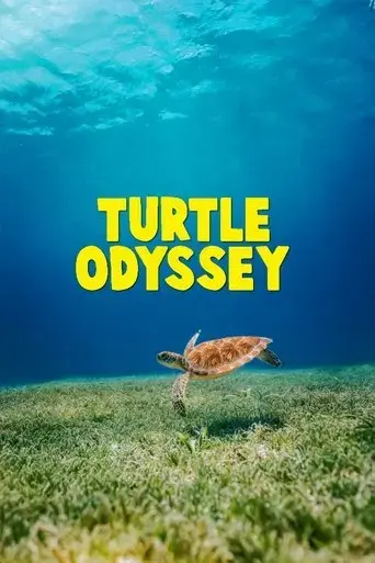 turtle-odyssey-2018