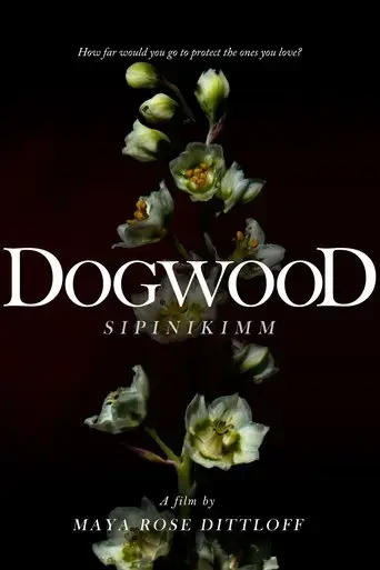 dogwood-sipinikimm-2022