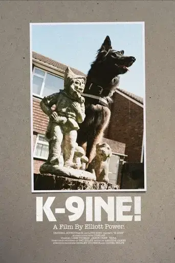 k-9ine-2025