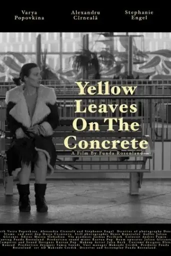 yellow-leaves-on-the-concrete-2025