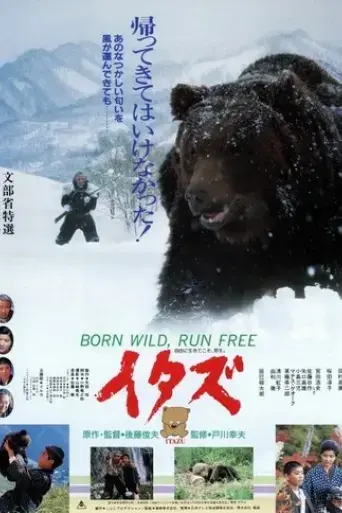 born-wild-run-free-1987