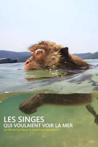 les-singes-qui-voulaient-voir-la-mer-2020