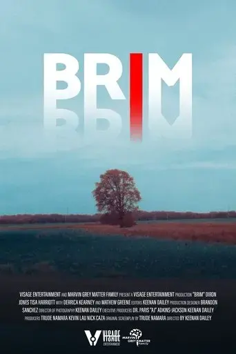 Poster Brim (2025)
