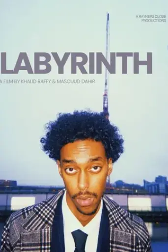 the-bathroom-labyrinth-2025