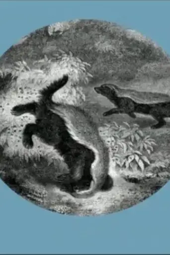 the-kiss-of-the-honey-badger-2019