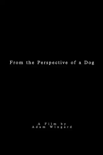 from-the-perspective-of-a-dog-2008