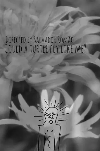 Poster Could a turtle fly like me? (2025)