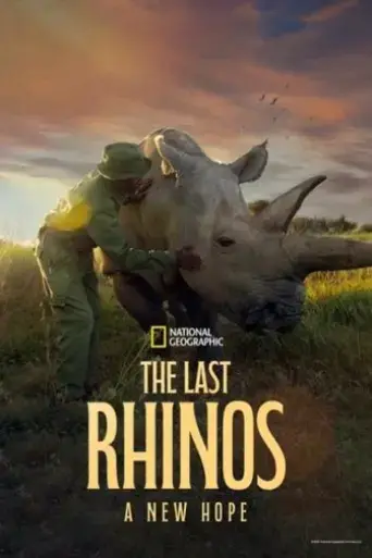 the-last-rhinos-a-new-hope-2025