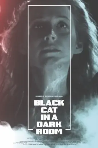 black-cat-in-a-dark-room-2019