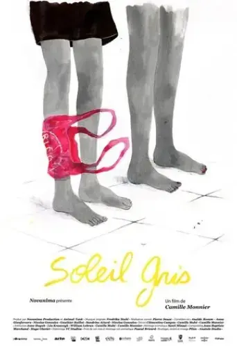 soleil-gris-2024