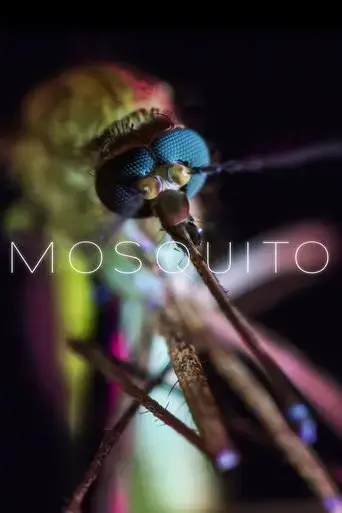 mosquito-2017