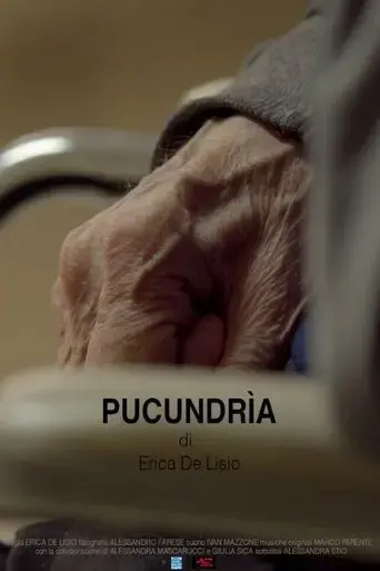 pucundria-2019