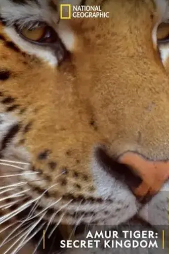 siberian-tiger-the-secret-kingdom-2023