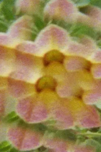 spring-rebirth-at-source-du-pecher-2024
