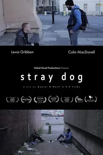 stray-dog-2020