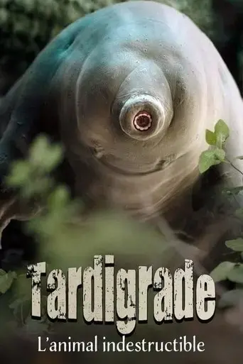 tardigrade-l-animal-indestructible-2025