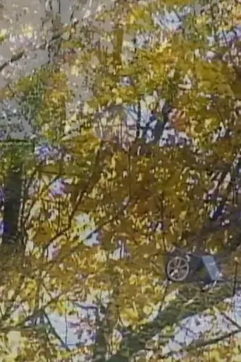 leaves-2024