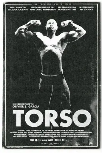 torso-2018