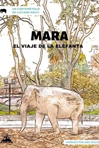 mara-el-viaje-de-la-elefanta-2020