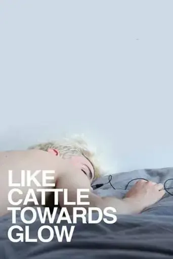 like-cattle-towards-glow-2015