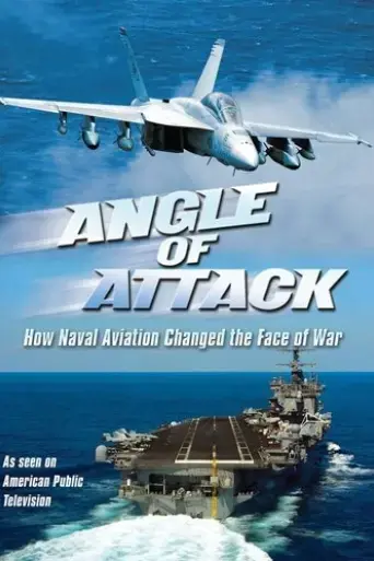 angle-of-attack-2011
