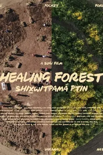 healing-forest-2024