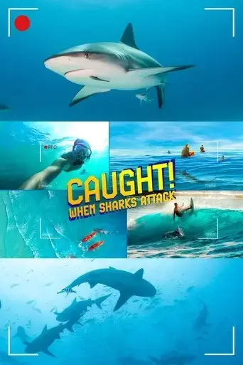 caught-when-sharks-attack-2024