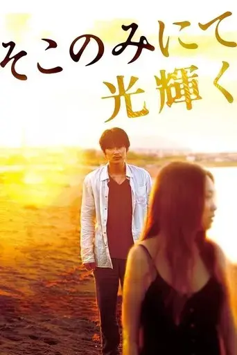 the-light-shines-only-there-2014