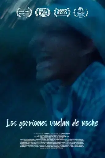 los-gorriones-vuelan-de-noche-2025