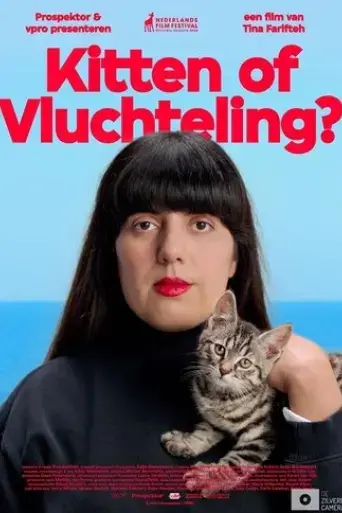 kitten-of-vluchteling-2023