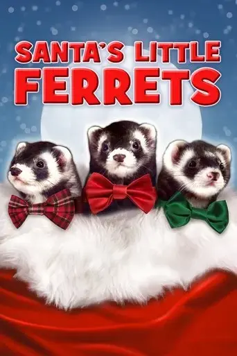 santa-s-little-ferrets-2014