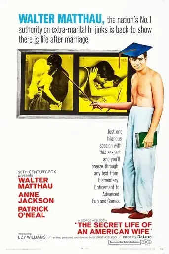 the-secret-life-of-an-american-wife-1968