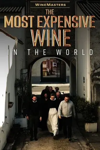 the-most-expensive-wine-in-the-world-2024