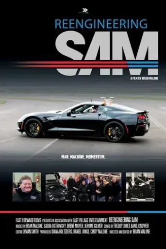 reengineering-sam-2016