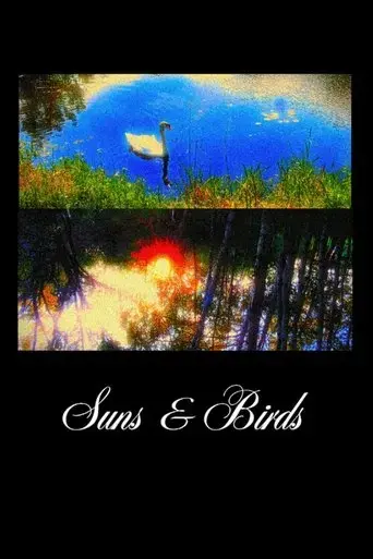 suns-birds-2025