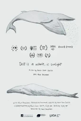 dust-is-a-whale-is-sunlight-2023